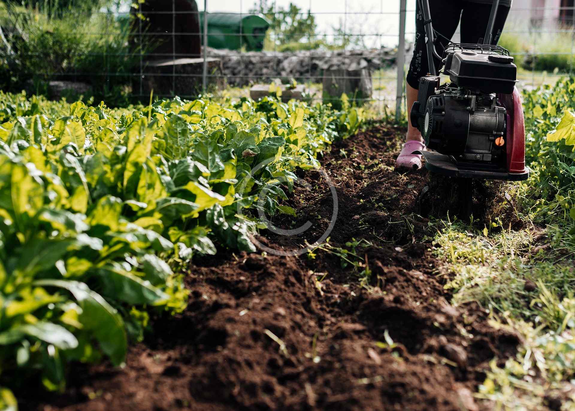 Seasonal enhancement